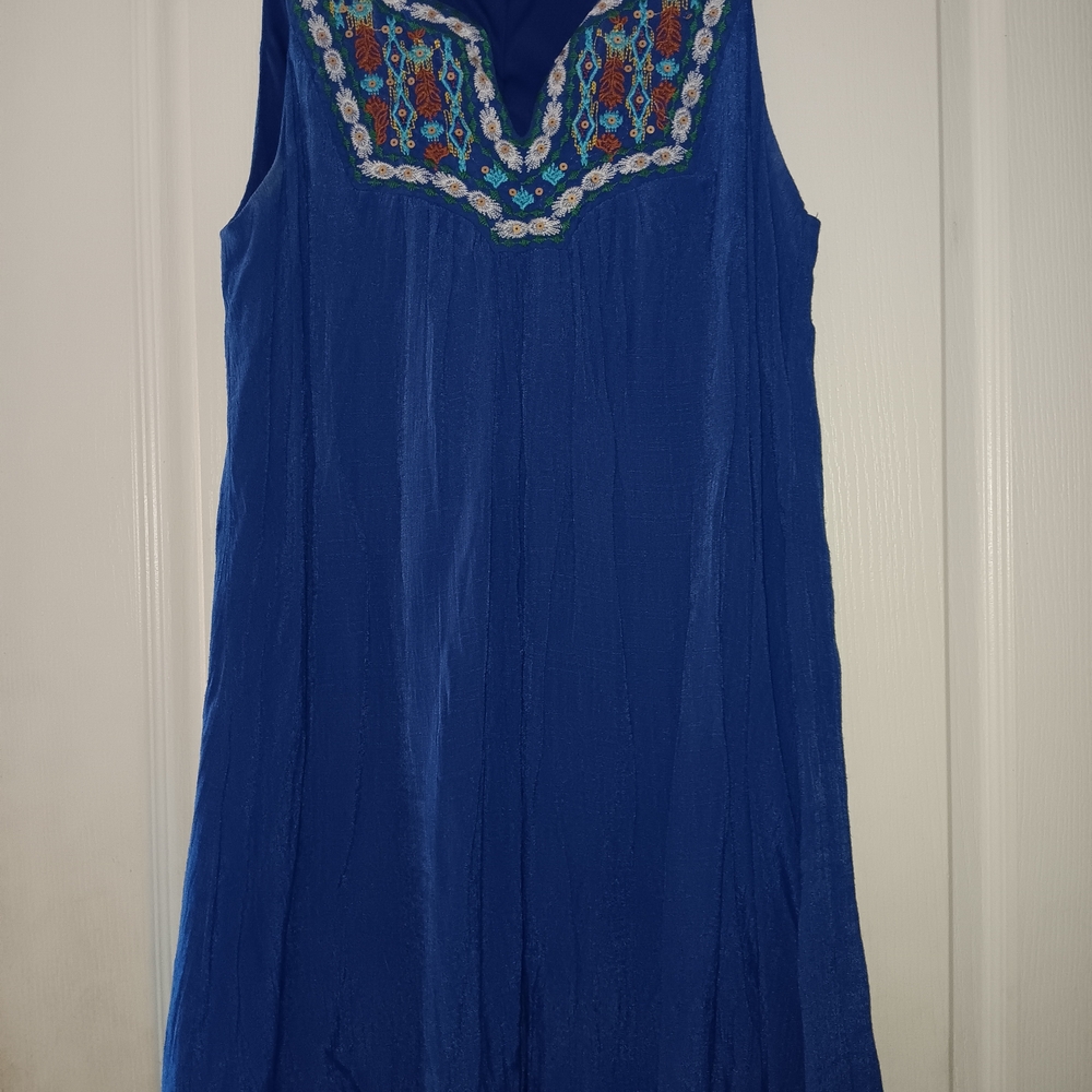 Luxology Blue Dress with Multicolor Embroidery